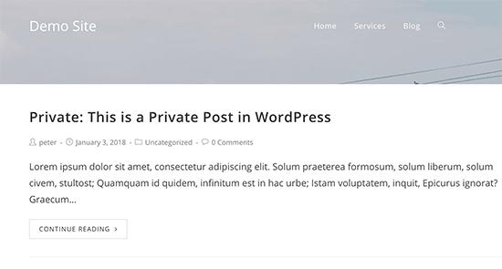 Предварительный просмотр приватного сообщения в WordPress