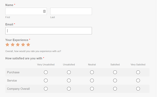 Survey form preview