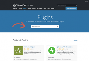 Beginner's Guide: How To Choose The Best WordPress Plugin