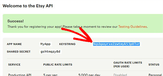 Copy Etsi API key