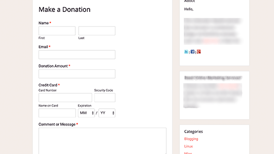 Stripe donation form preview