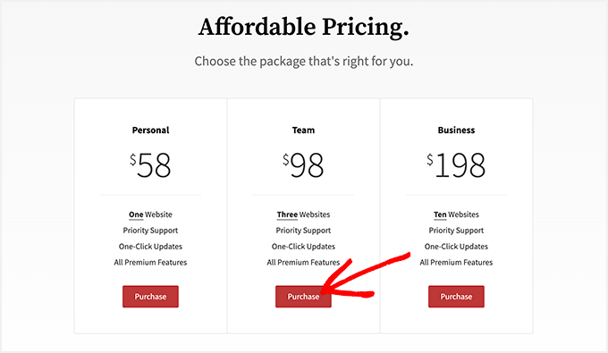 Google Fonts for WordPress Plans and Pricing
