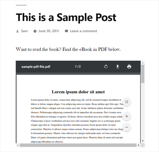 PDF eingebettet in WordPress Post Preview