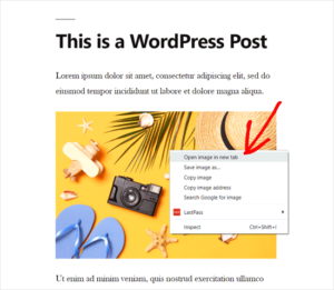 How To Get The URL Of Images You Upload In WordPress