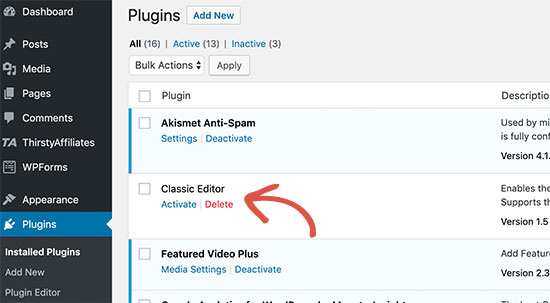 Delete inactive plugins