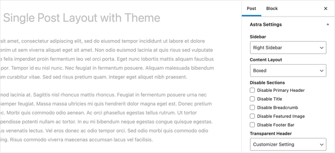 Astra Theme Single Post Template Customization