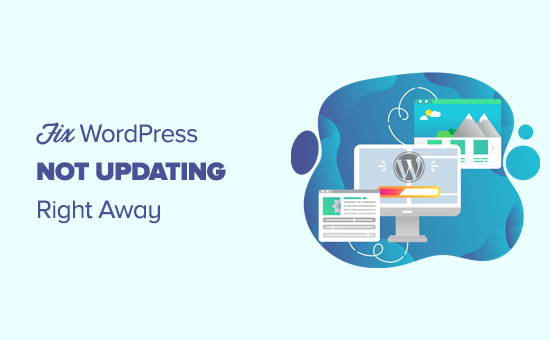 Fixing a WordPress website not updating right away