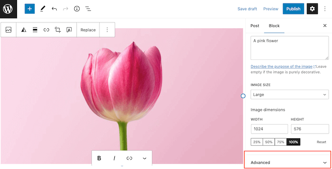 The 'Advanced' image settings in the WordPress page and post editor