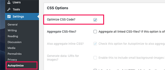 Оптимизация CSS в Autoptimize