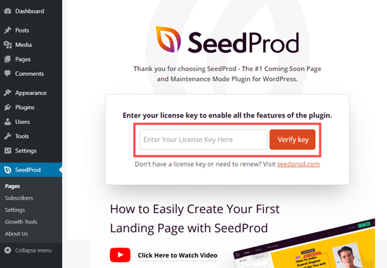 Immissione della chiave di licenza per SeedProd