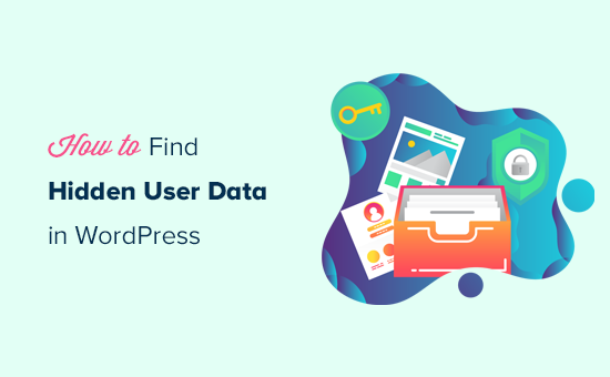 Finding hidden user data in WordPress