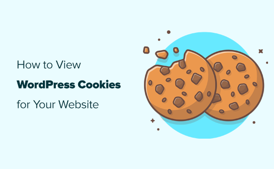 如何查看您的 WordPress 网站设置了哪些 cookie