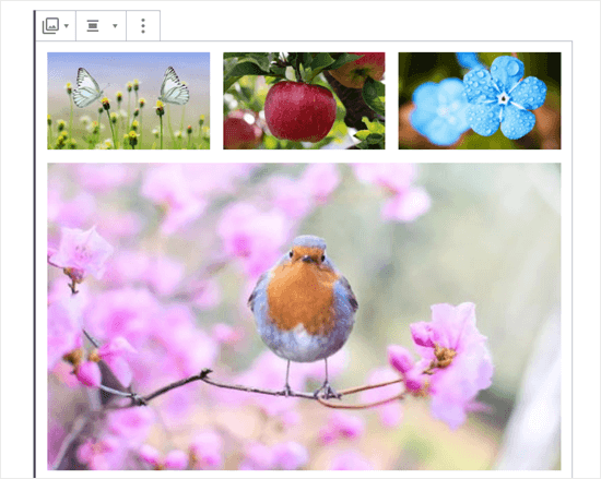 Quattro immagini nella galleria (farfalle, mela, fiori blu e pettirosso)