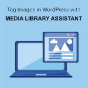 Tag Images in WordPress with Media Library Assistant