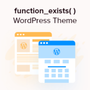 Best Practice: Check if Function Exists When Adding in WordPress Theme