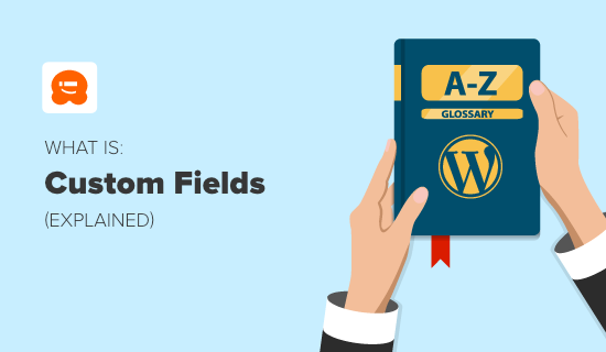 What Is Custom Fields in WordPress?