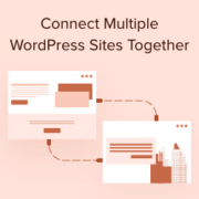 How to connect multiple WordPress sites together