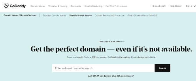 Domain broker service