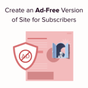 How to create an ad free version of WordPress site for subscribers