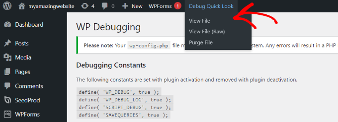 WebHostingExhibit click-view-file-in-debug-mode How to Easily Enable WordPress Debug Mode to Fix Site Errors  