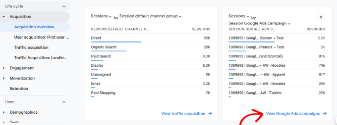 View session google ads campaign report