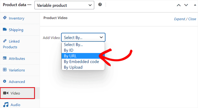 Switch to the Video tab and choose By URL option from the dropdown menu