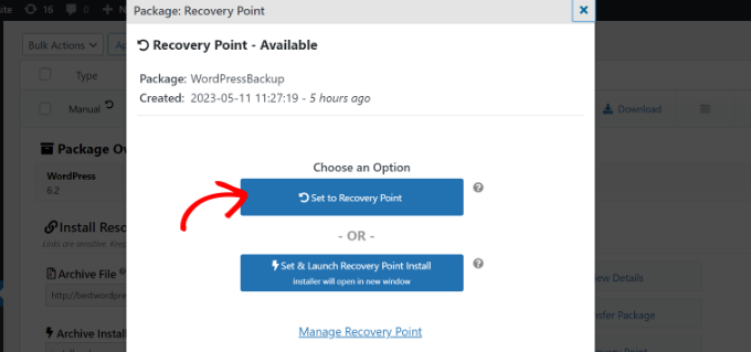 Click set to recovery point option
